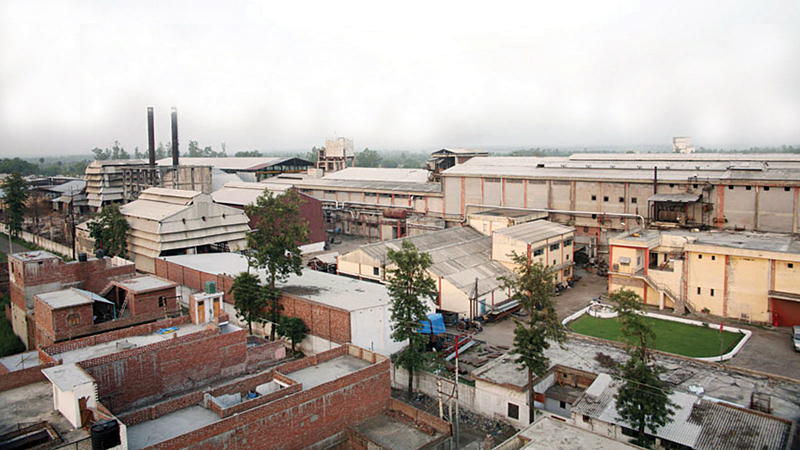 This image has an empty alt attribute; its file name is Genus-Paper1.jpg