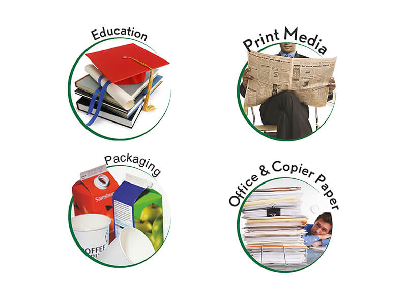 Indian paper industry