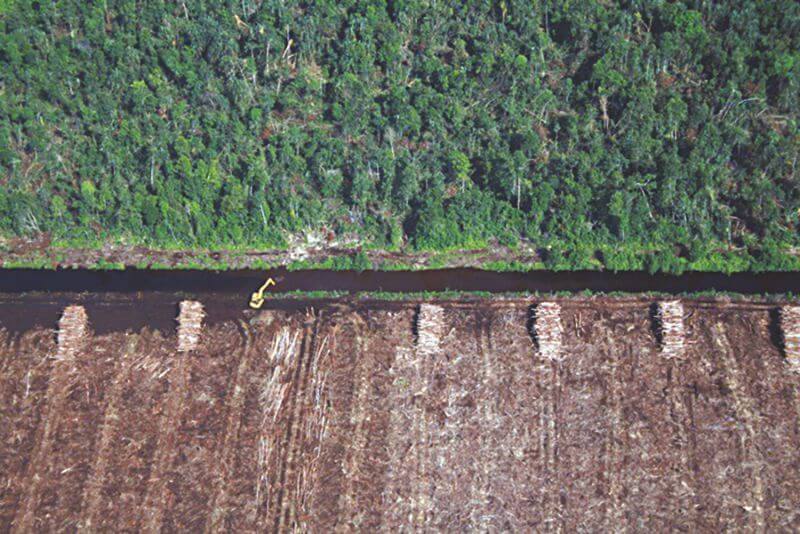 APRIL sustainable forest management policy