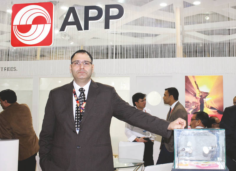 Asia Pulp and Paper