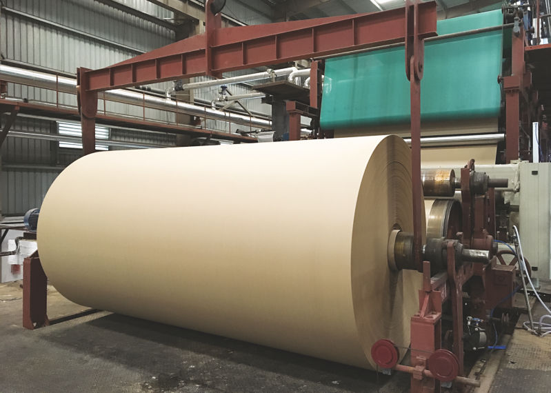 Palak Paper Mill Starts Production of 300 TPD High  BF Kraft Liner