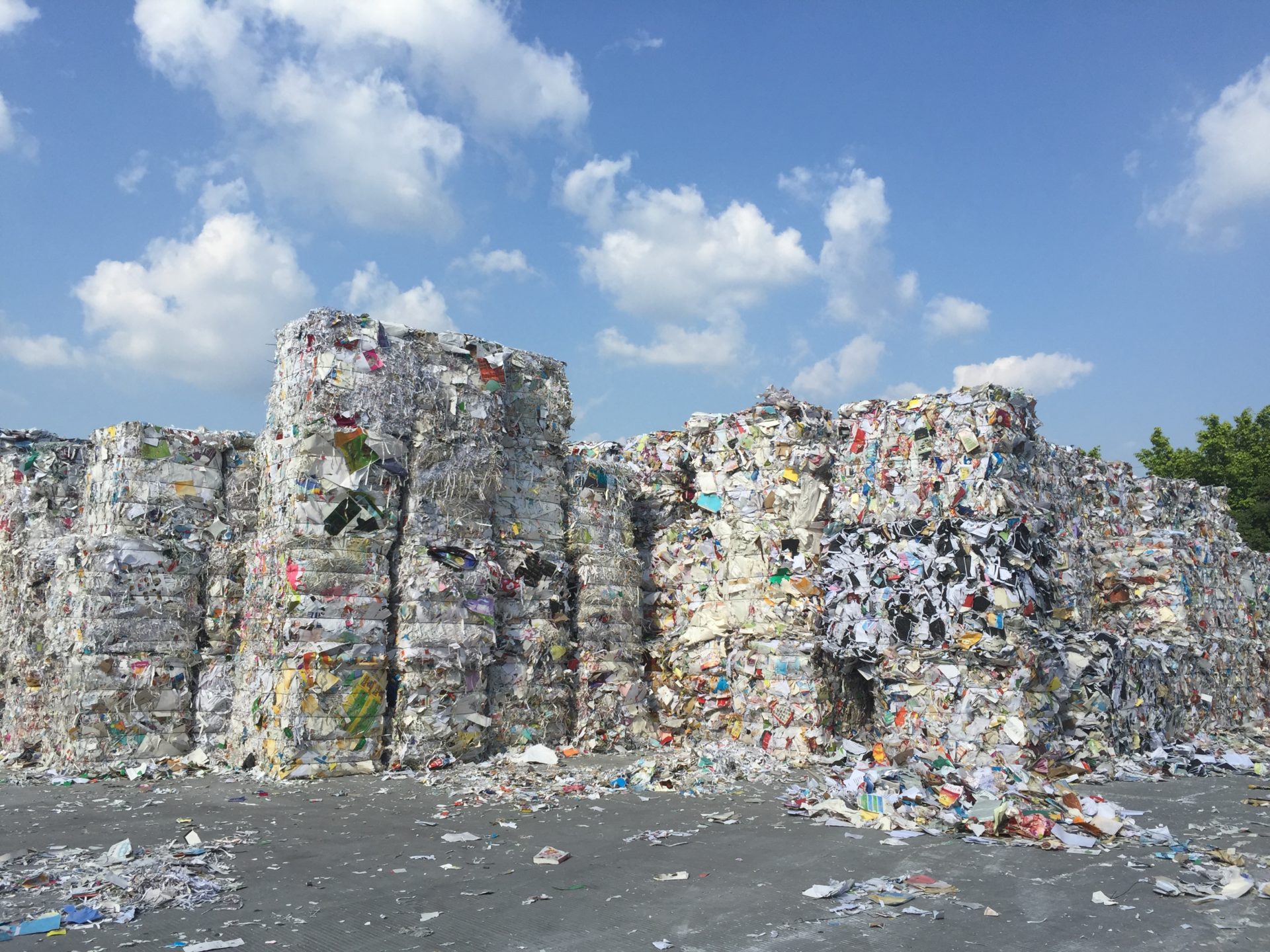 Crossroads Paper Plans USD 320 Million Mill to use Only Recycled Fiber 1