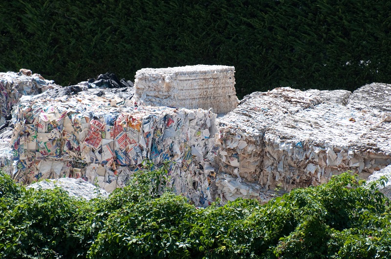 35000 Containers of Imported Waste Paper Stuck at Ports Customs Demands Demurrage Despite Waiver 1