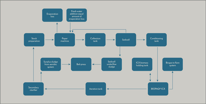 paques fig 2