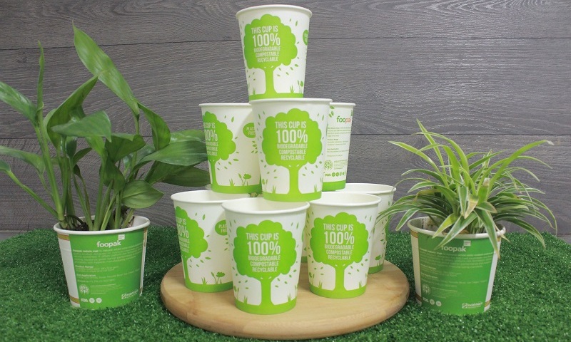 Asia Pulp & Paper Introduces F&B Packaging Paperboard From Foopak Bio Natura  - Papermart