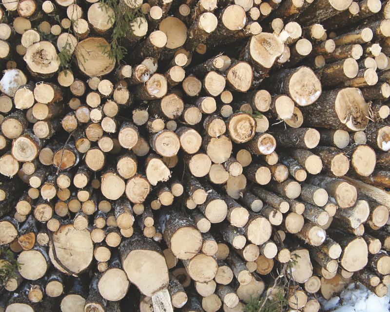 Pulp Wood Shortage PM Vol18 No3 Aug Sep 2017