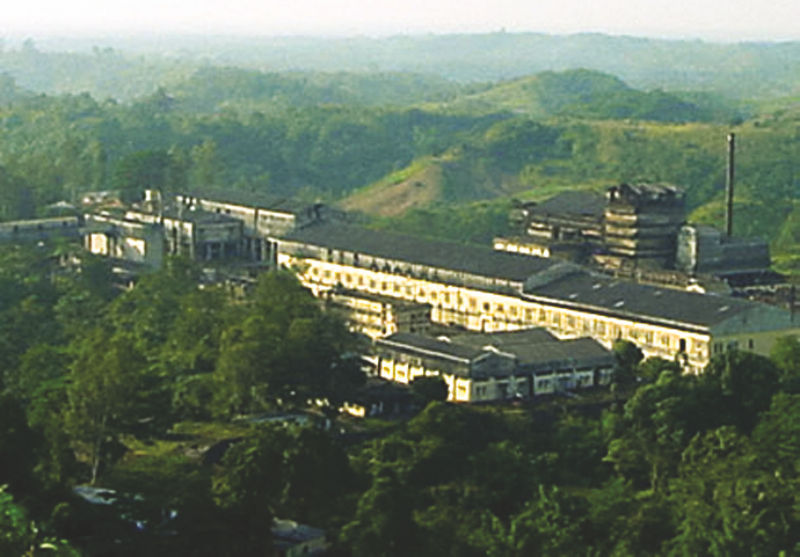 Pulp and Paper in Nagaland