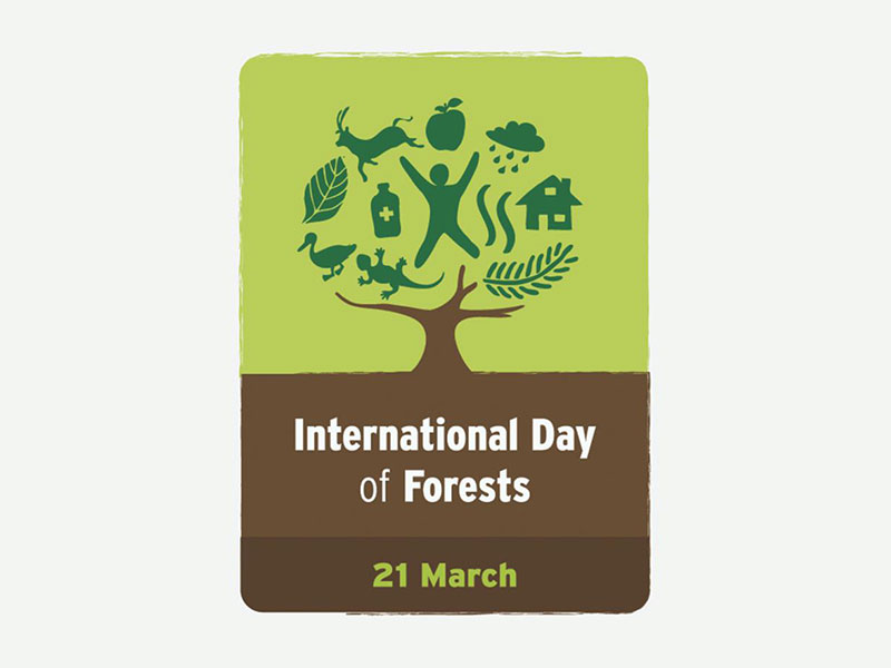 International Day of Forests