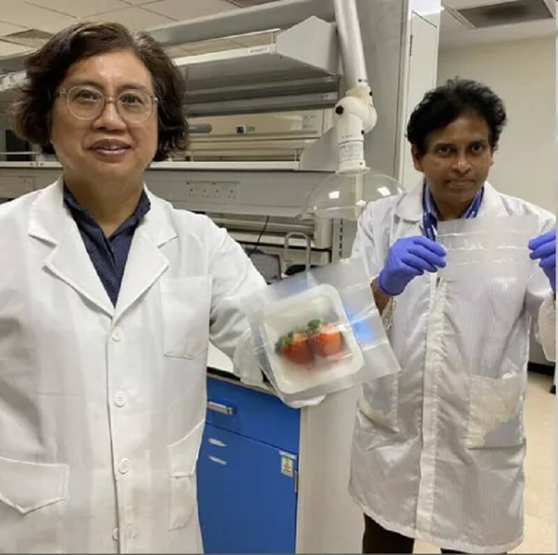 Team of Scientists develop Biodegradable, and Anti-microbial Food Packaging