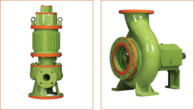 Abirami Pumps