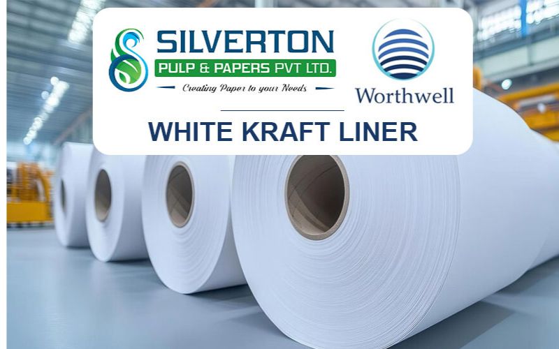 white kraft liner