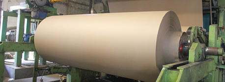 ruchira papers