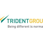 trident group